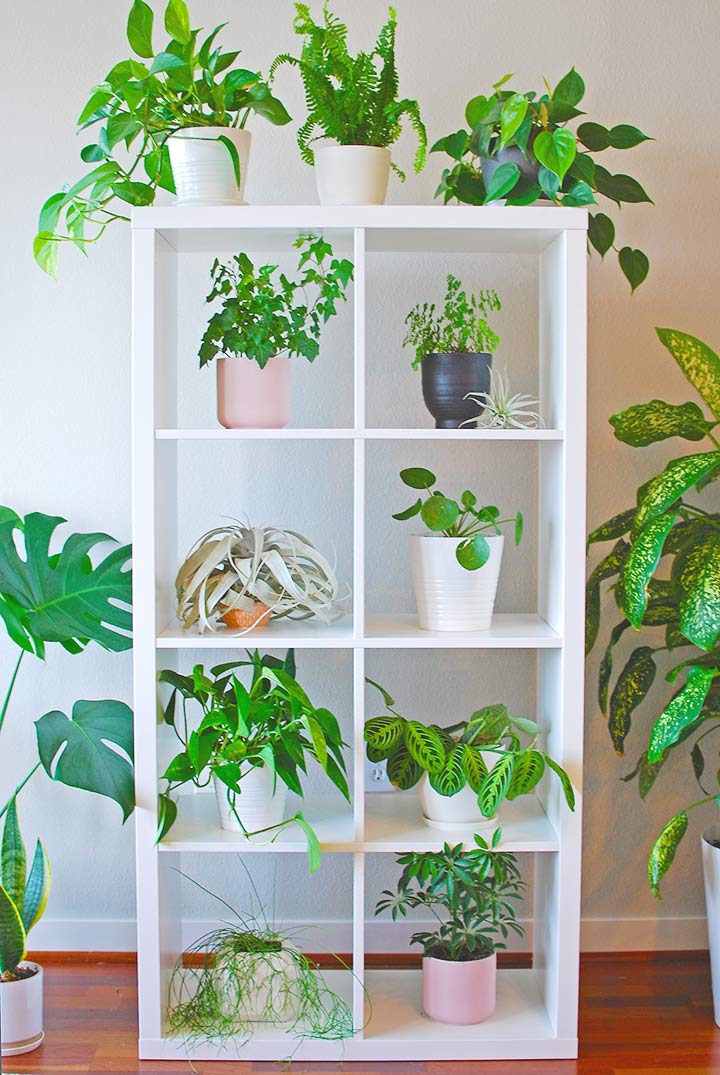 36+ DIY Plant Stand Ideas for Indoor and Outdoor Decoration